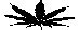 cannabis.GIF (1005 bytes)